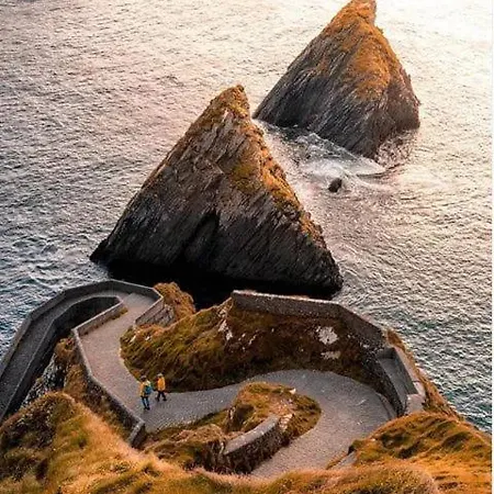 Acres Guesthouse- Only 게스트하우스 Lower Coolcorcoran