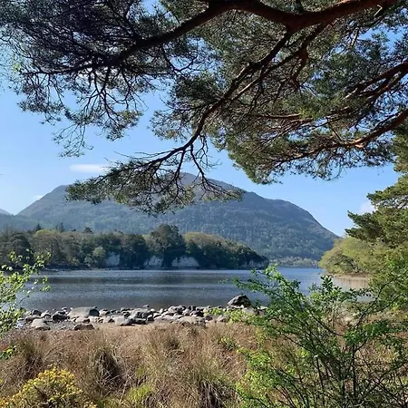 Acres Guesthouse- Only Lower Coolcorcoran