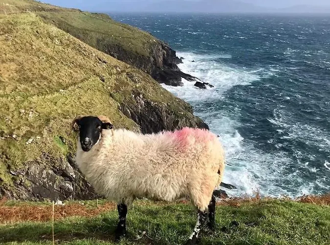 Acres Guesthouse- Only Pensjonat *