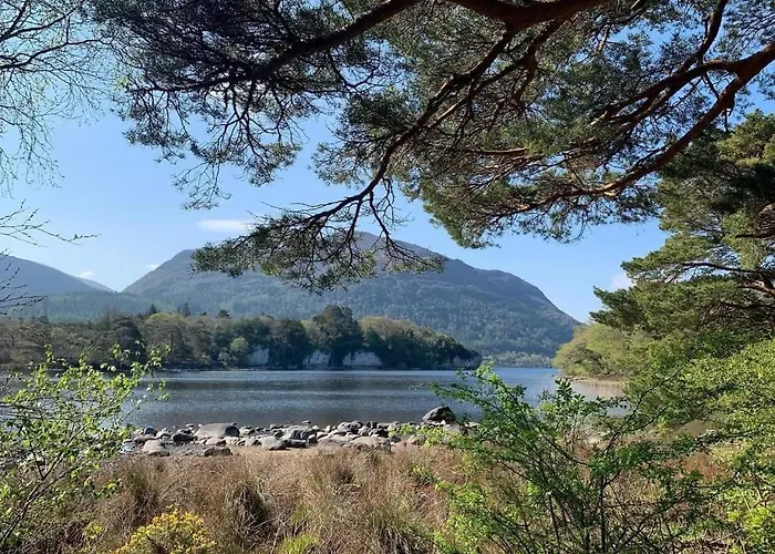 Acres Guesthouse- Only Lower Coolcorcoran