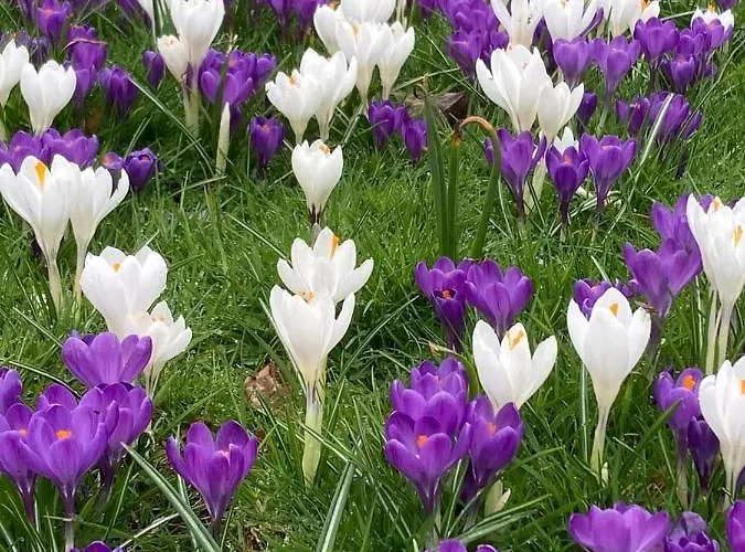 Acres Guesthouse- Only * Lower Coolcorcoran